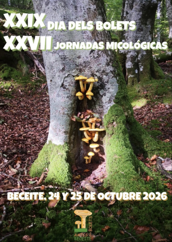 Cartel provisional del XXIX Día dels Bolets y XXVII Jornadas Micológicas de Beceite, 24 y 25 de octubre de 2026